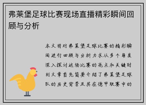 弗莱堡足球比赛现场直播精彩瞬间回顾与分析