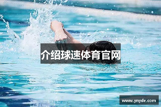 介绍球速体育官网